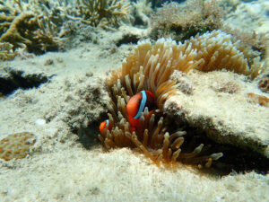 e3401a_028a7074e5814df69b0c7034289da299mv2