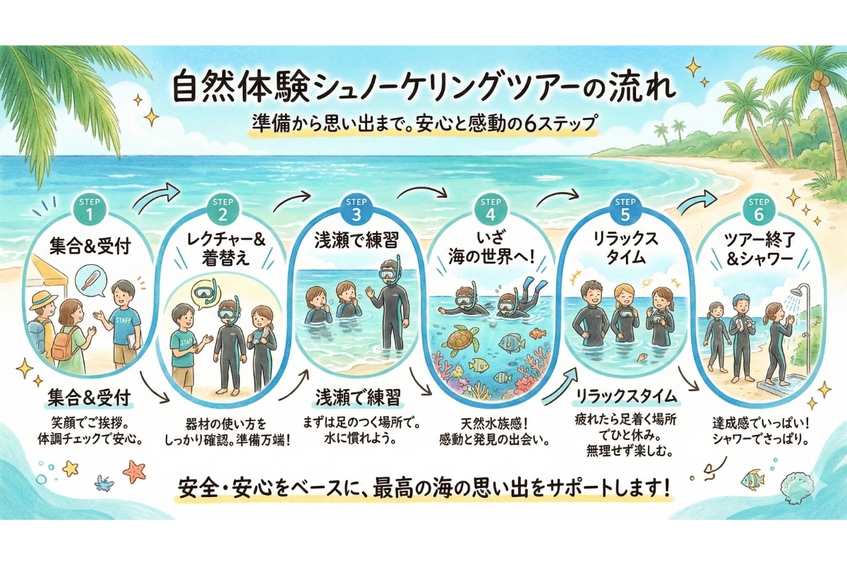 天然水族感 那覇 シュノーケリング ウミガメ 送迎可 初心者歓迎