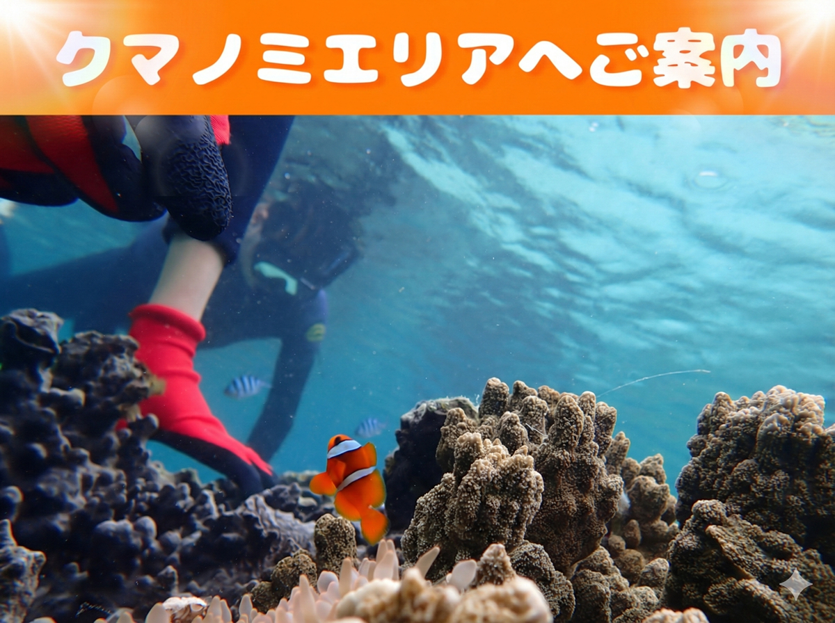 天然水族感 那覇 シュノーケリング ウミガメ 送迎可 初心者歓迎
