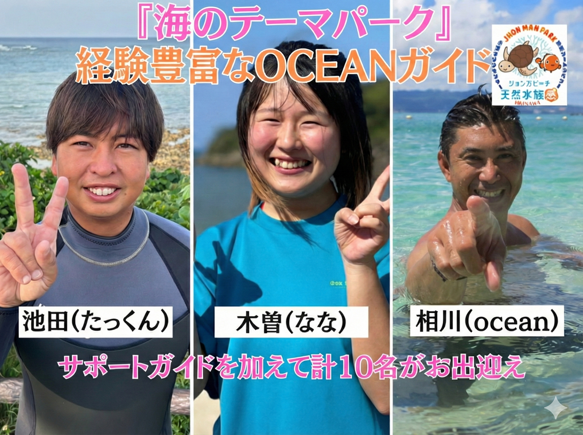 天然水族感 那覇 シュノーケリング ウミガメ 送迎可 初心者歓迎