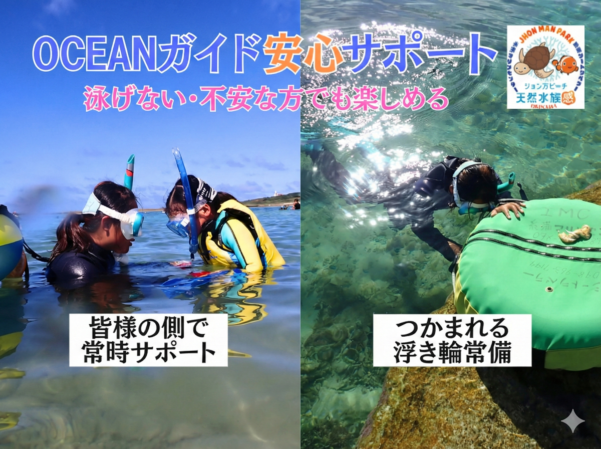 天然水族感 那覇 シュノーケリング ウミガメ 送迎可 初心者歓迎