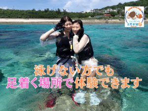 天然水族感 那覇 シュノーケリング ウミガメ 送迎可 初心者歓迎