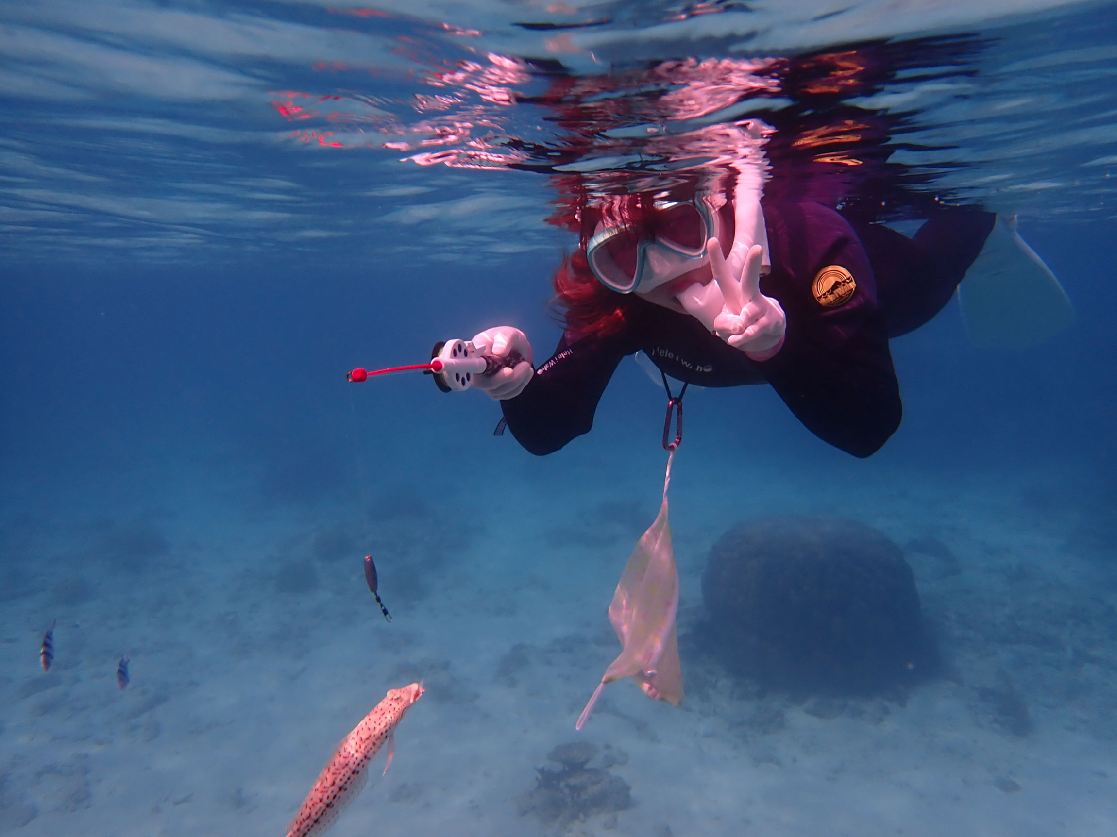 e3401a_34488b1f4a2e4feb8ccb85632d564951mv2