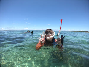 e3401a_4d706dd701b6432e90693232c7687123mv2