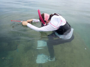 e3401a_e5b06eac1bcd4d72916dfd62c1fd29b1mv2