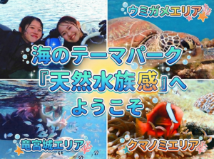 天然水族感 那覇 シュノーケリング ウミガメ 送迎可 初心者歓迎