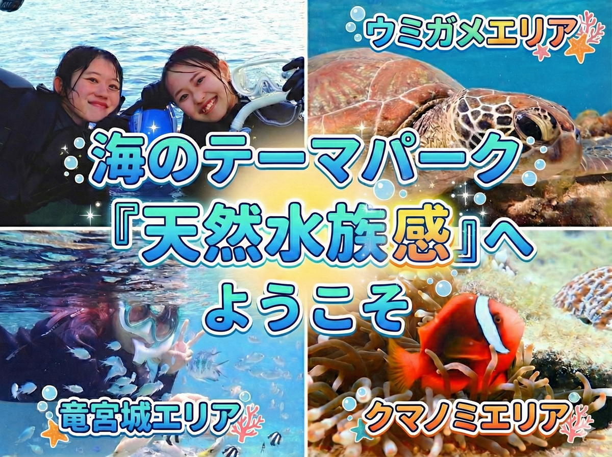 天然水族感 那覇 シュノーケリング ウミガメ 送迎可 初心者歓迎