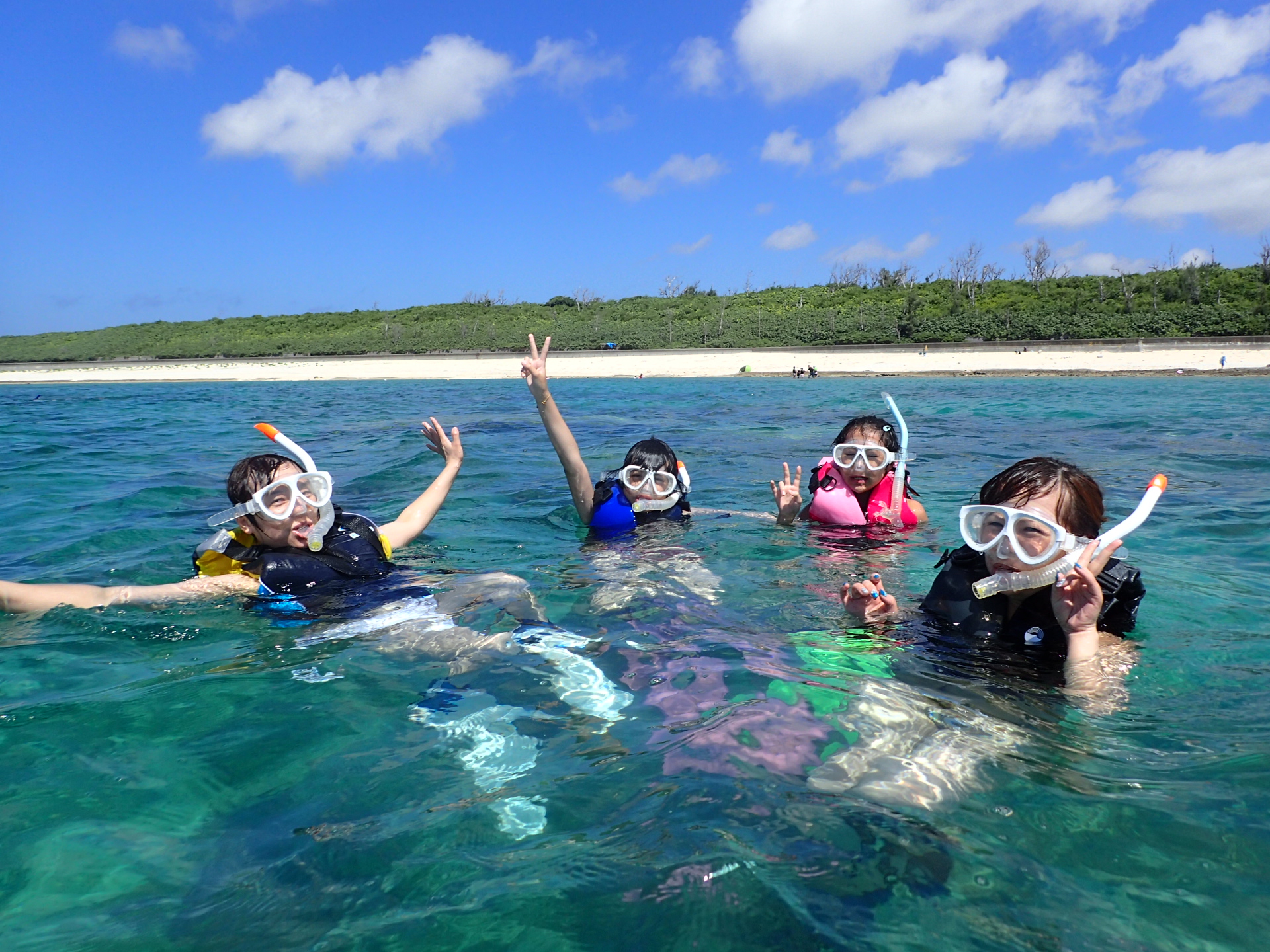 シートラベラーとは？