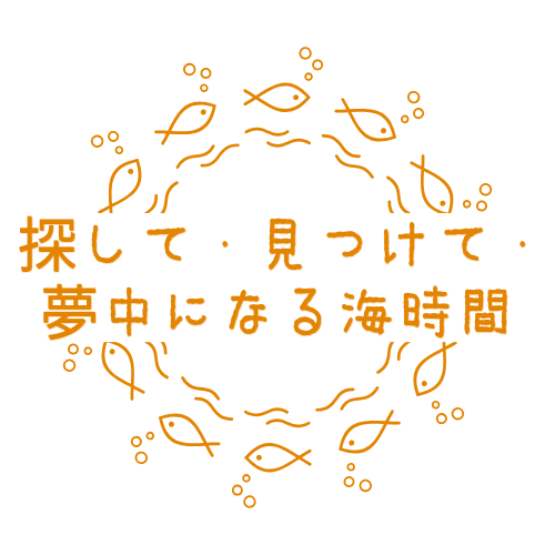 探して・見つけて・夢中になる海時間