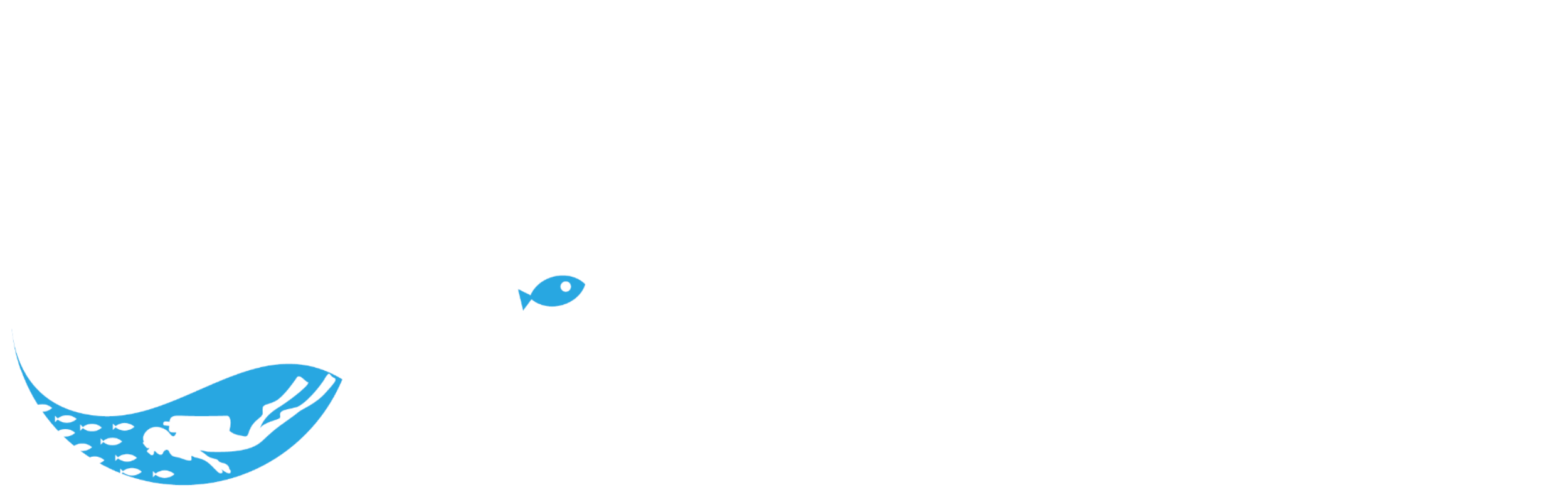 シュノーケル専門店｜沖縄那覇糸満マリンサービス　seatraveler　【公式】シートラベラー | シュノーケリング那覇 | 沖縄県那覇市東町20-7