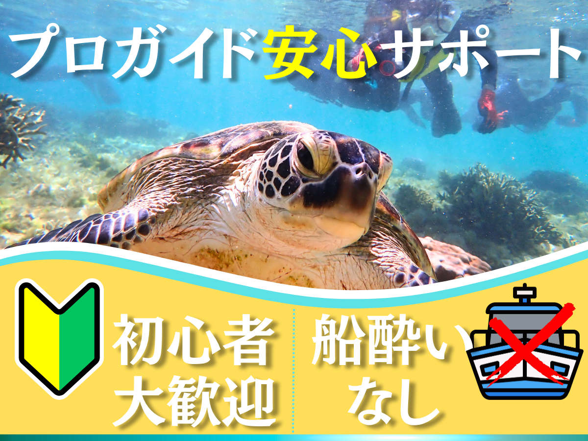 ポータルサイト家族プラン (3)