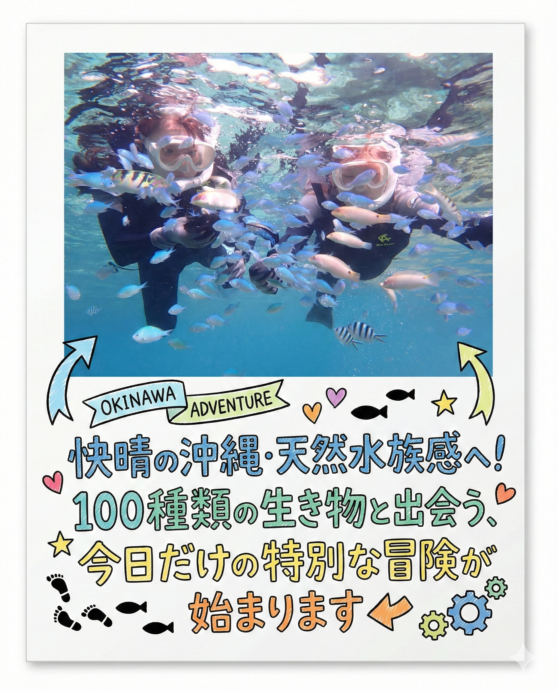 自然体験ジョン万パーク 天然水族感 海のテーマパーク 自然体験シュノーケリング