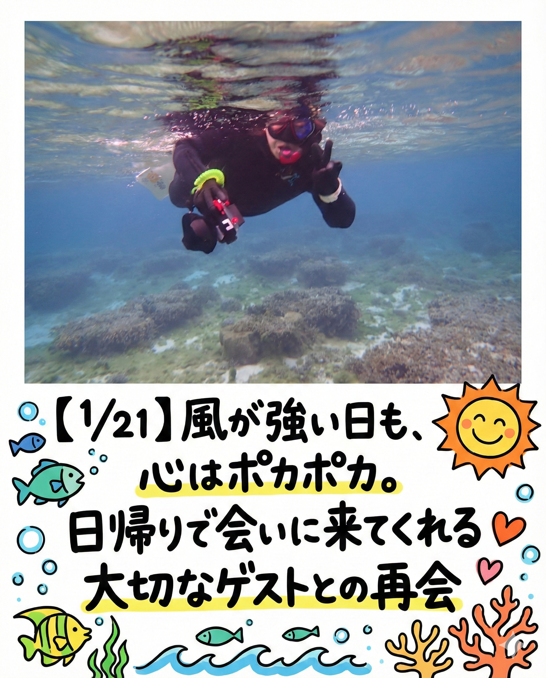 自然体験ジョン万パーク 天然水族感 海のテーマパーク 自然体験シュノーケリング 学生