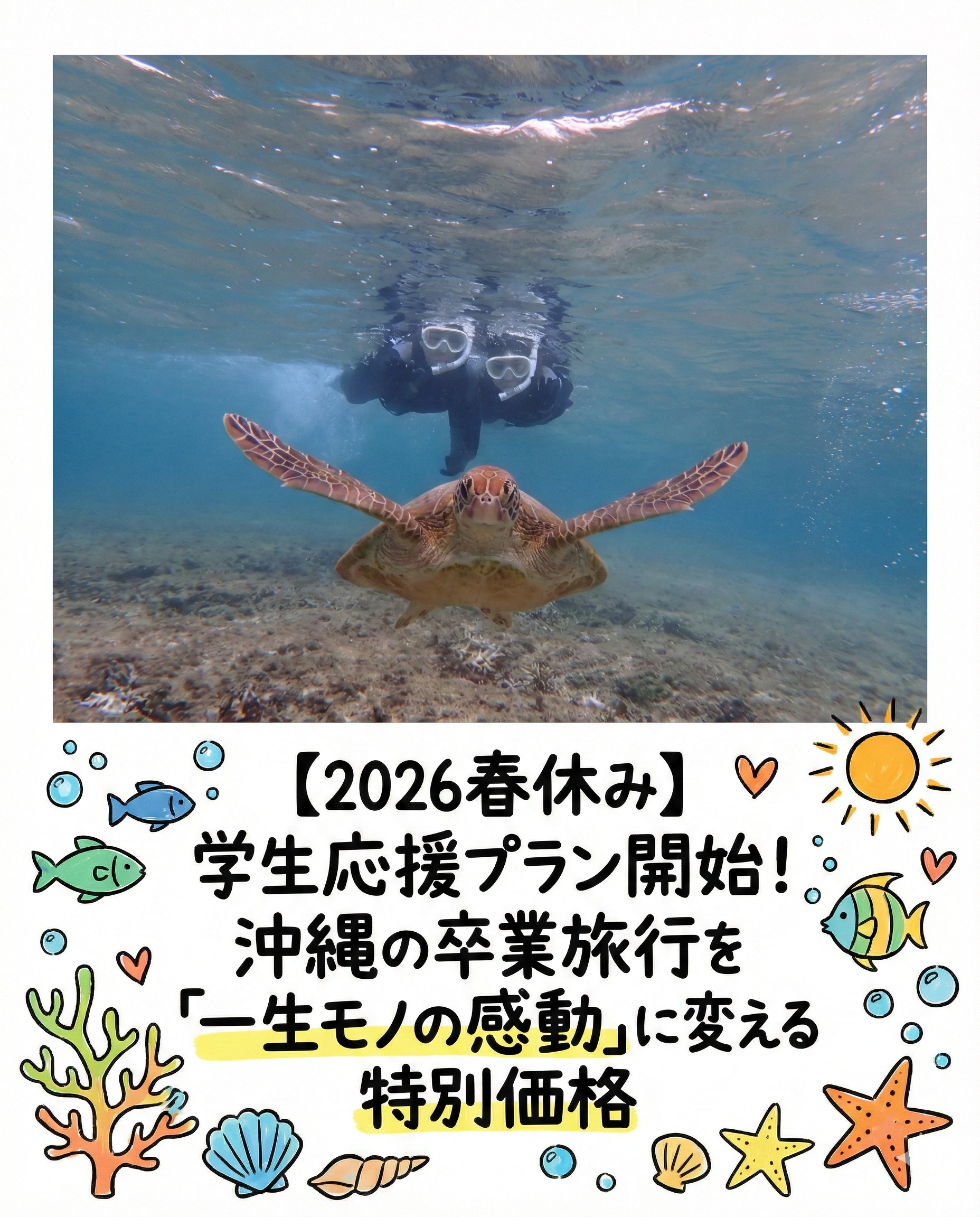 自然体験ジョン万パーク 天然水族感 海のテーマパーク 自然体験シュノーケリング 学生
