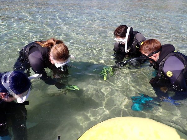まずは「足がつく場所」からスタート