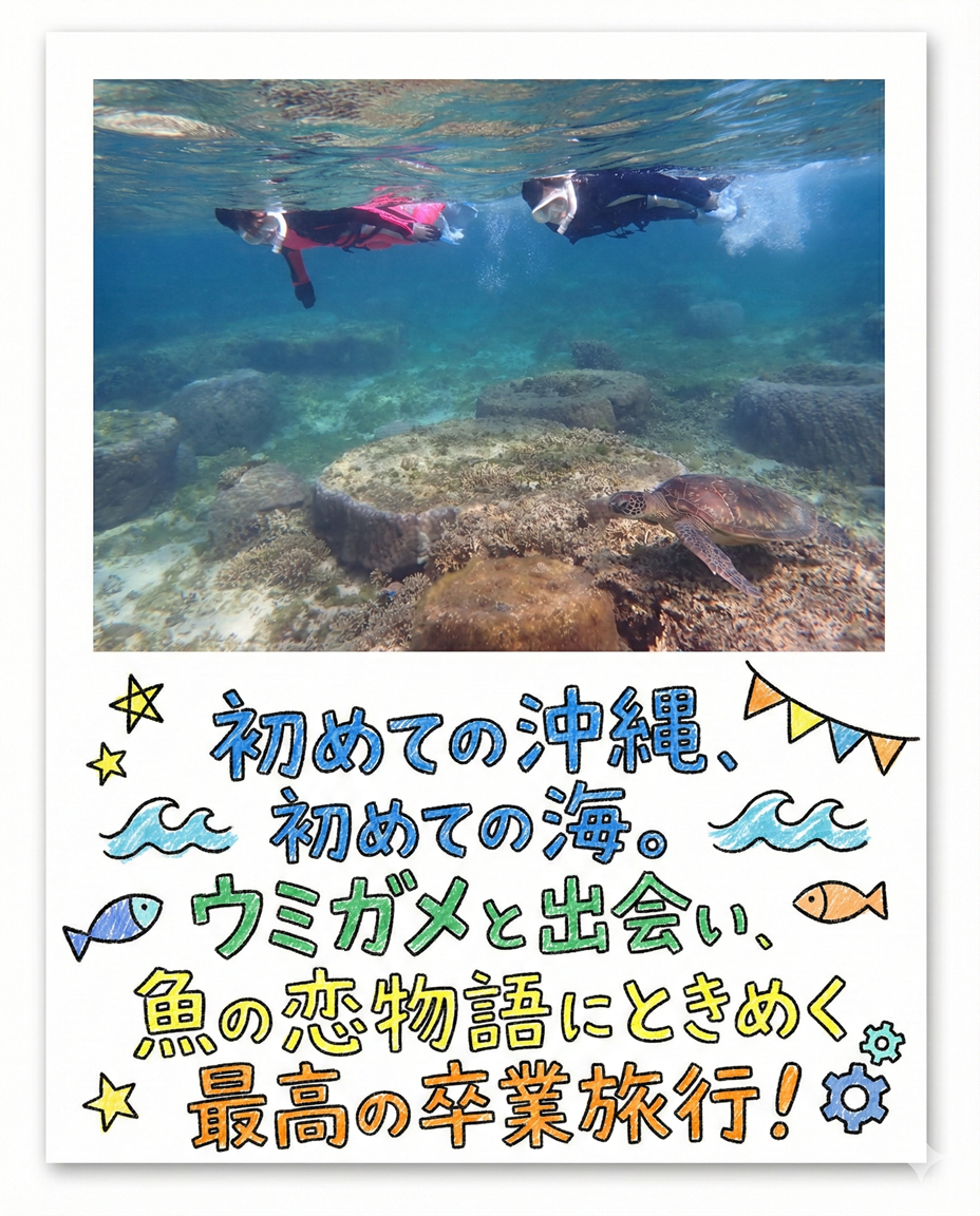 【海のテーマパーク 天然水族感】自然体験シュノーケリング 2026年2月10日（火）