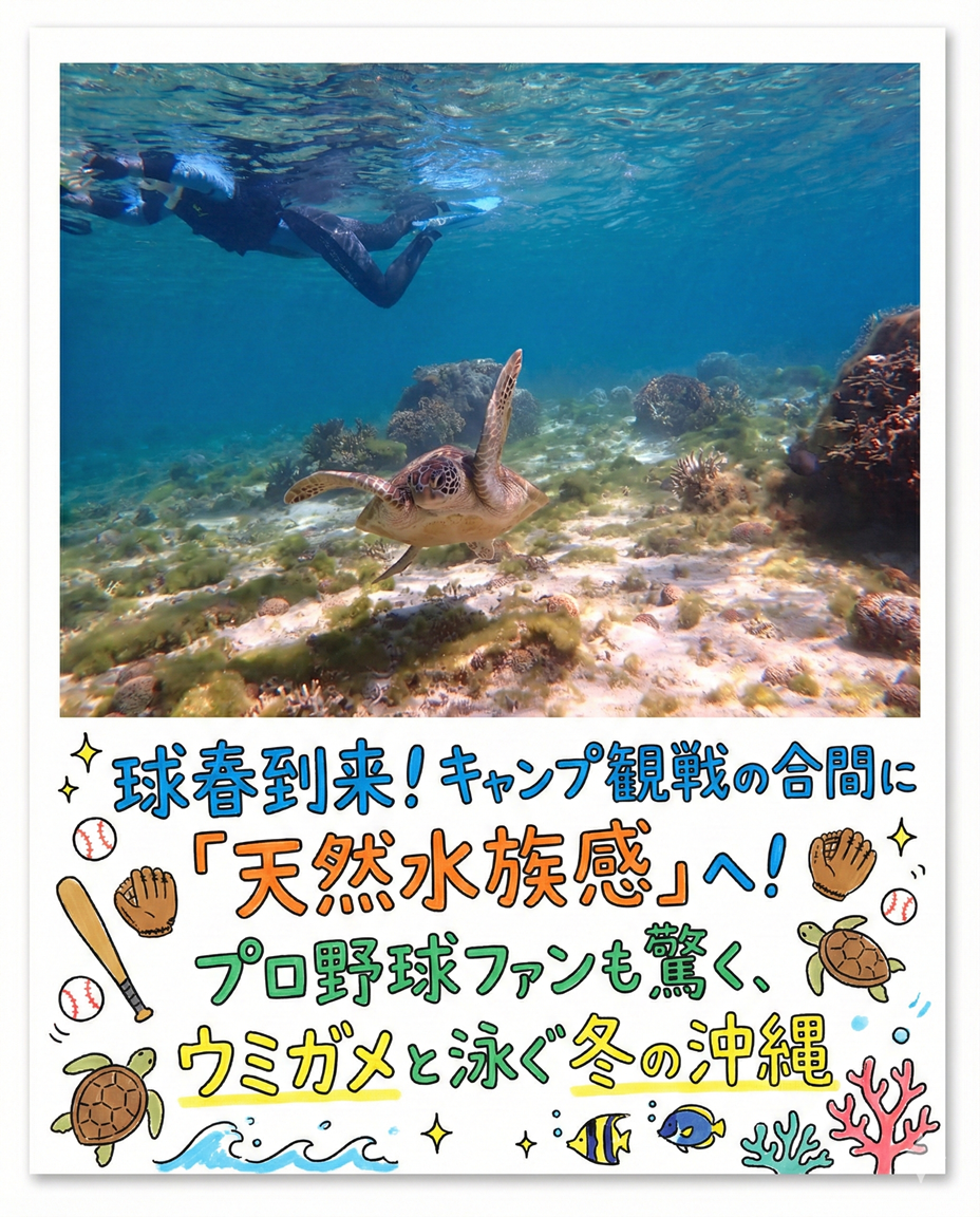 【海のテーマパーク 天然水族感】自然体験シュノーケリング 2026年2月11日（水）