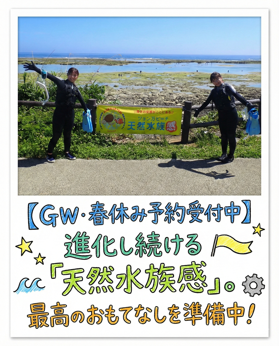 【海のテーマパーク 天然水族感】自然体験シュノーケリング 2026年2月13日(金)