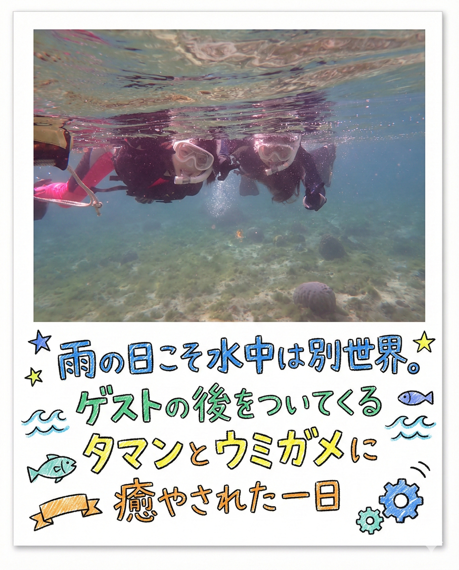 【海のテーマパーク 天然水族感】自然体験シュノーケリング 2026年2月17日(火)