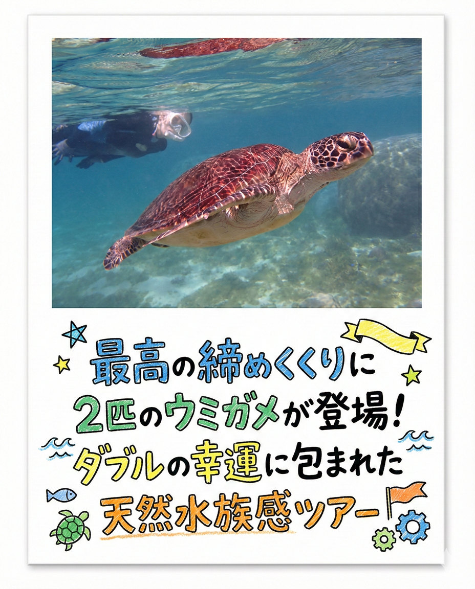 【海のテーマパーク 天然水族感】自然体験シュノーケリング 2026年2月19日(木)