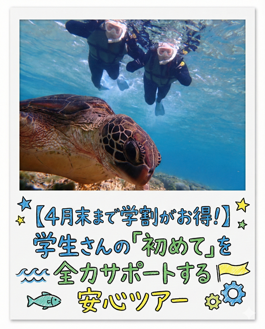 【海のテーマパーク 天然水族感】自然体験シュノーケリング 2026年2月26日(木)