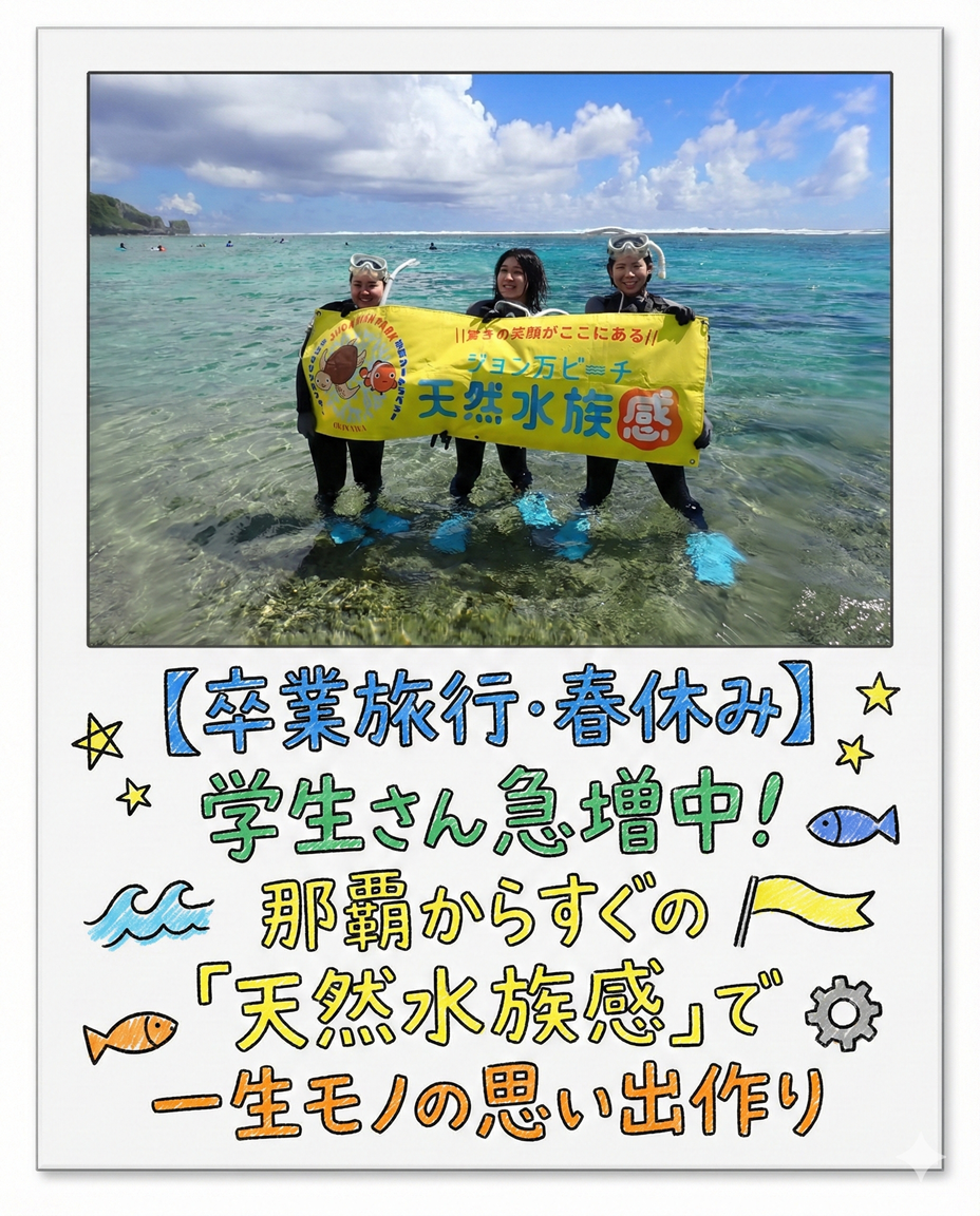 【海のテーマパーク 天然水族感】自然体験シュノーケリング 2026年2月4日（水）