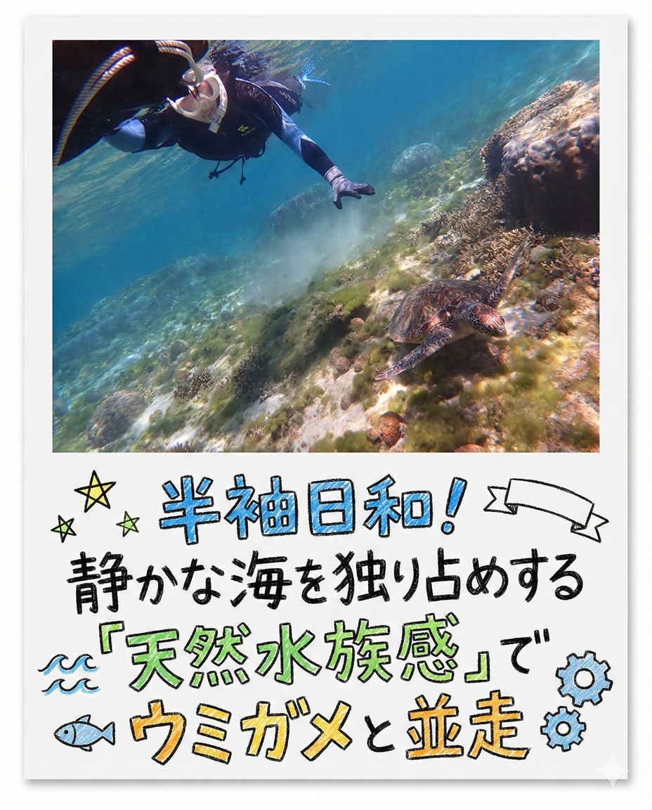 【海のテーマパーク 天然水族感】自然体験シュノーケリング 2026年2月5日（木）