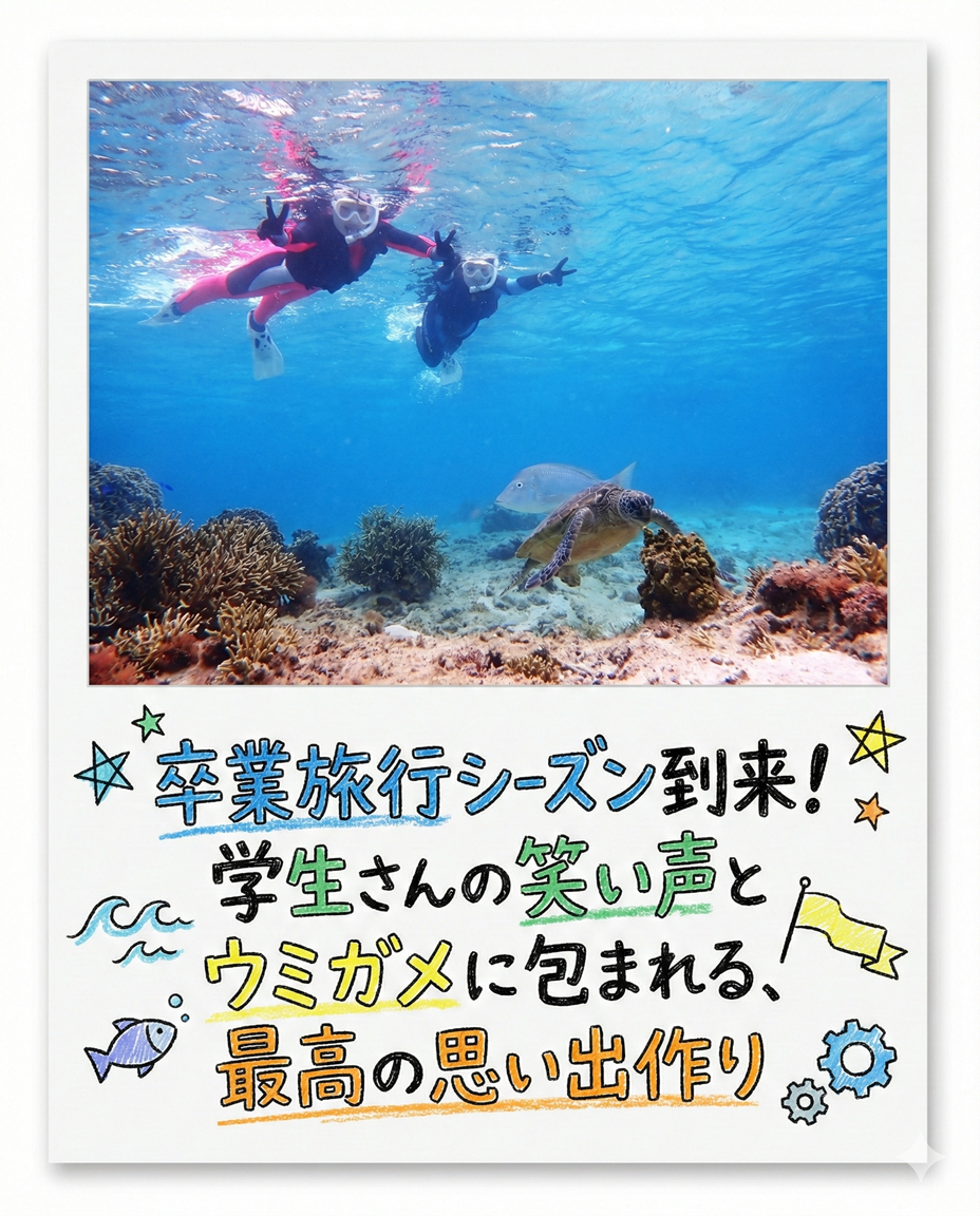 【海のテーマパーク 天然水族感】自然体験シュノーケリング 2026年2月6日（金）