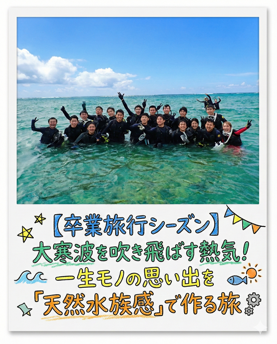 【海のテーマパーク 天然水族感】自然体験シュノーケリング 2026年2月9日（月）