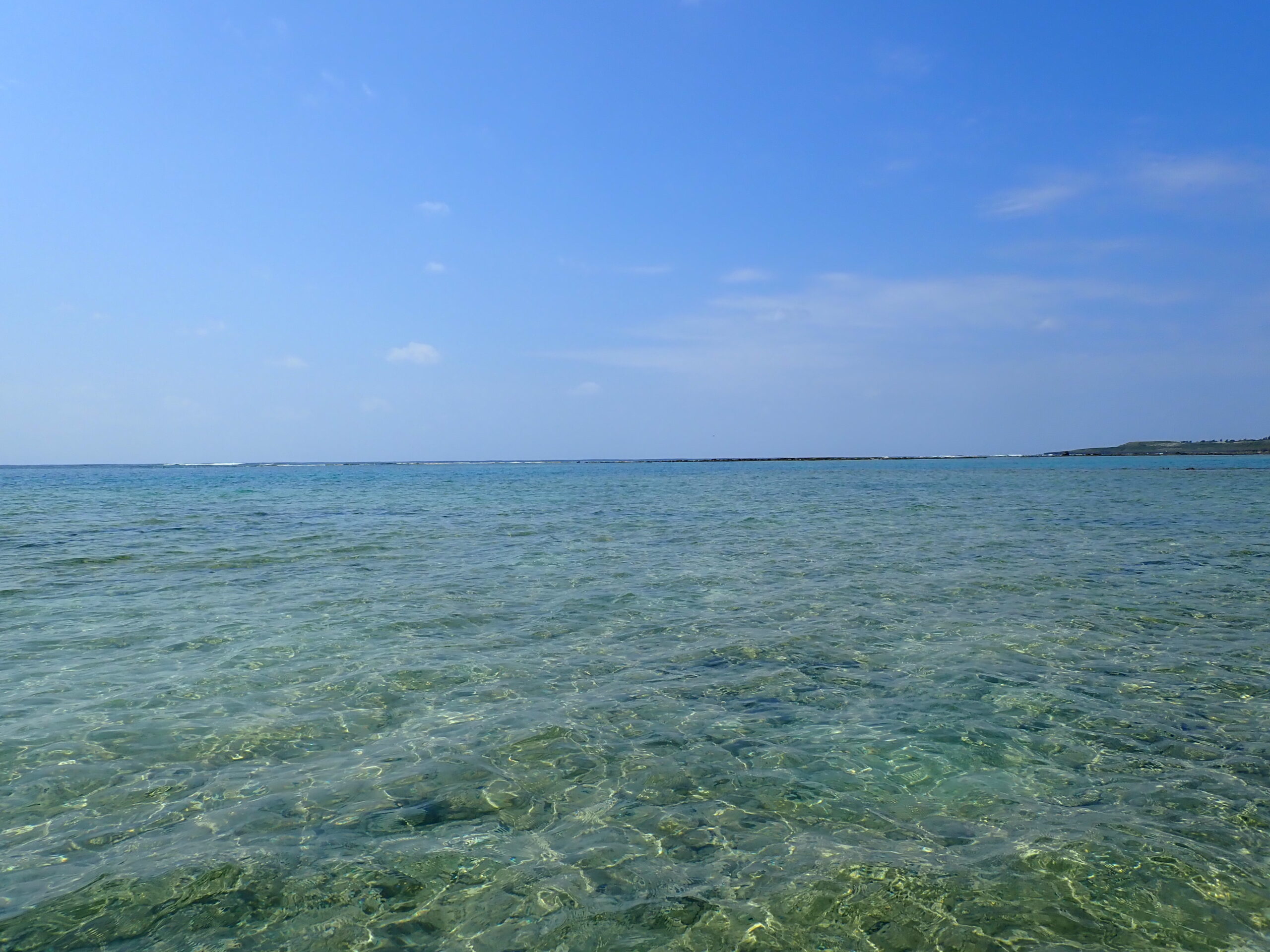 【海のテーマパーク 天然水族感】2026年4月11日(土)