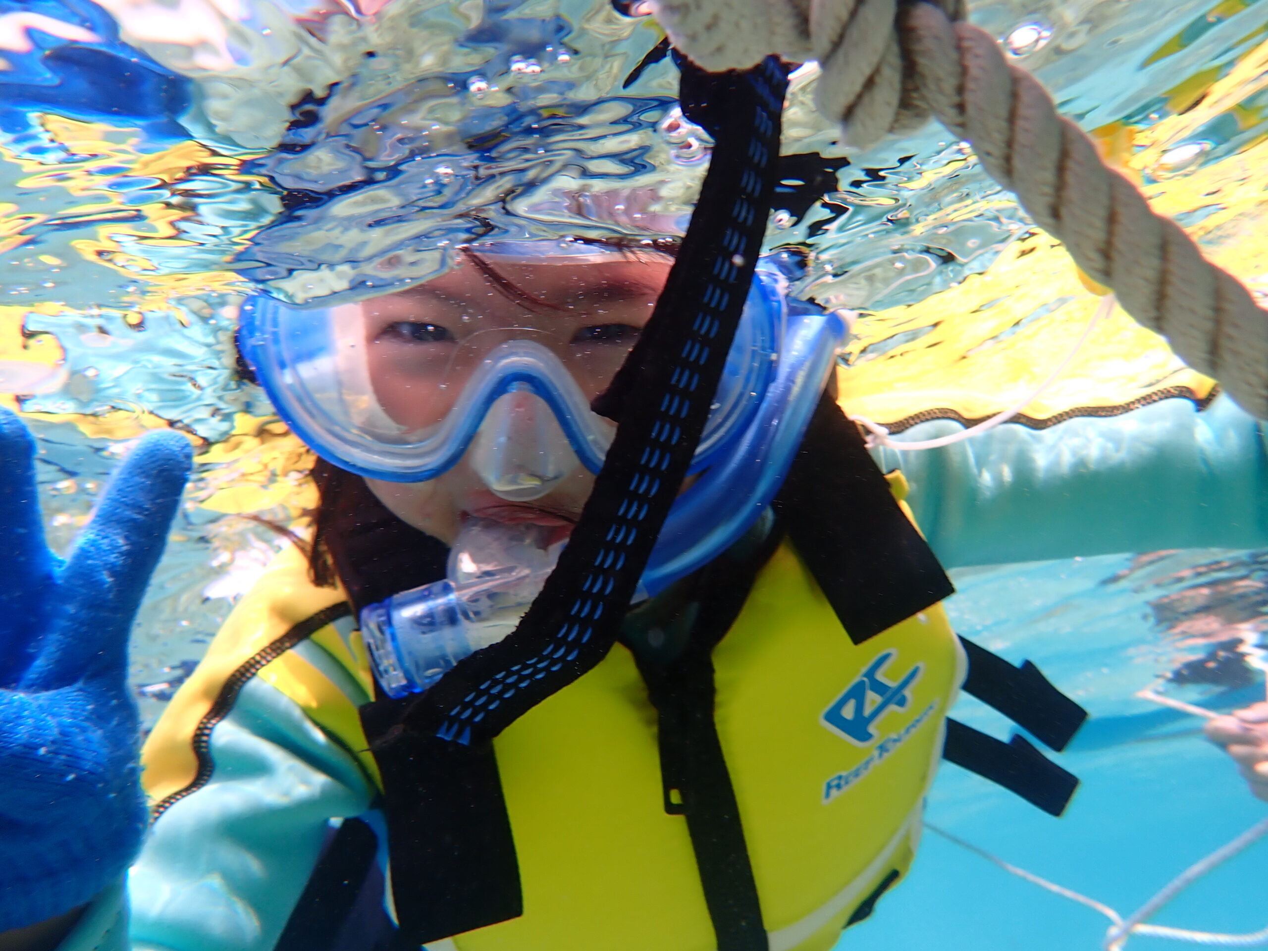 【海のテーマパーク 天然水族感】2026年3月29日（日）