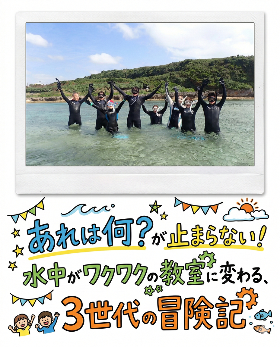 【海のテーマパーク 天然水族感】自然体験シュノーケリング 2026年3月4日(水)