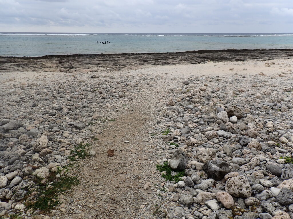 自然体験ジョン万パーク 天然水族感 海のテーマパーク 自然体験シュノーケリング 学生