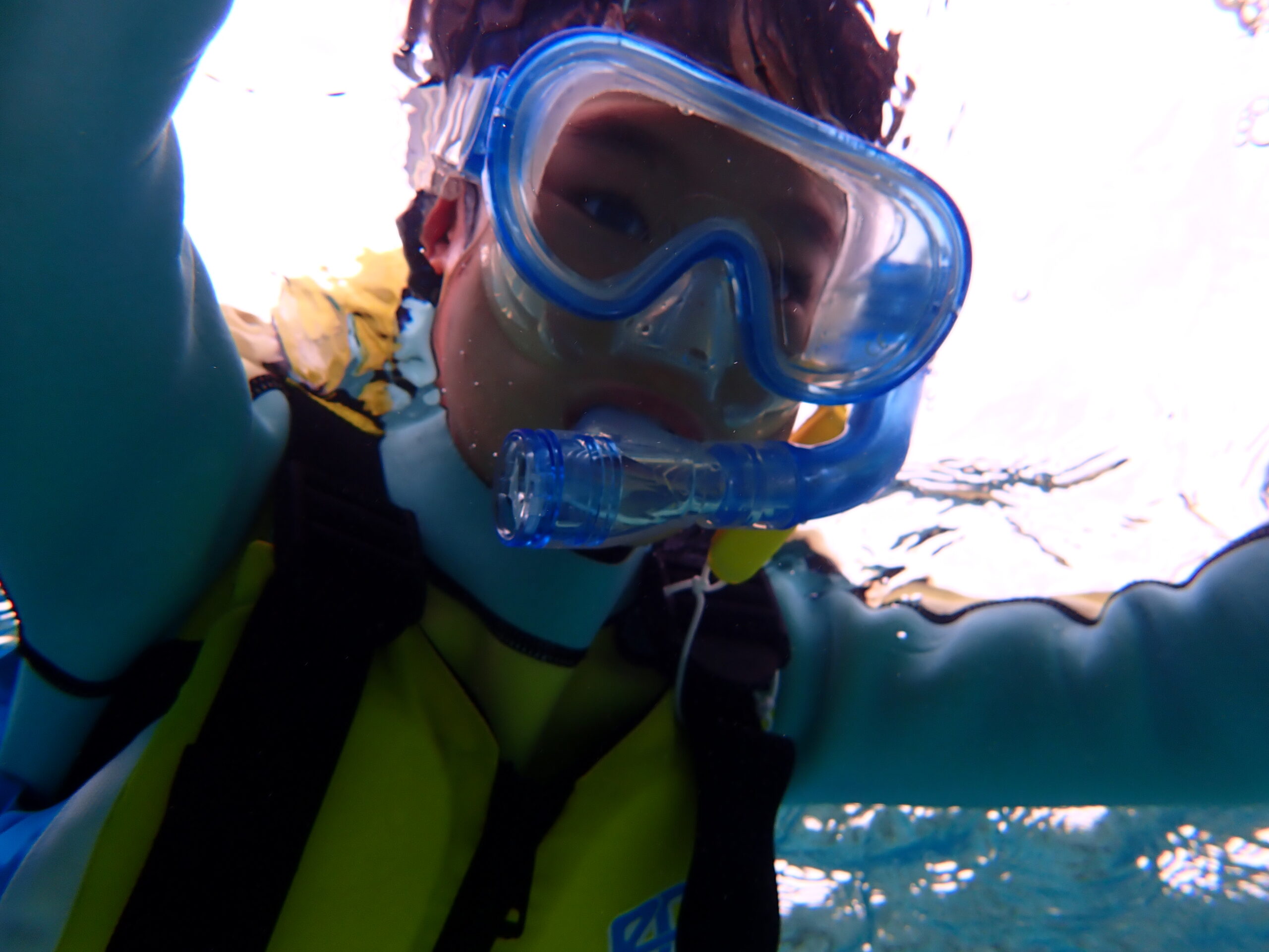 【海のテーマパーク 天然水族感】2026年3月20日(金)