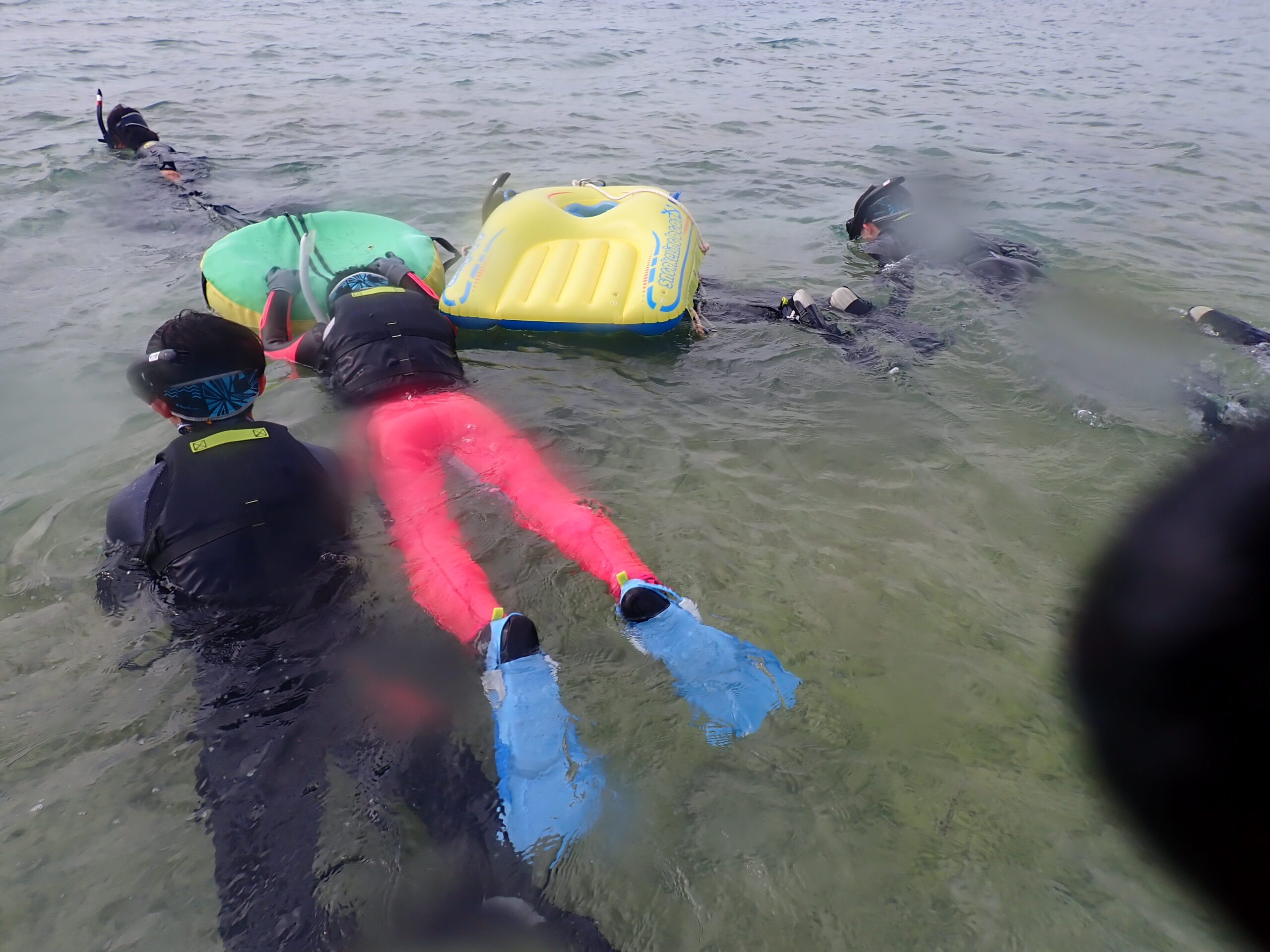 【海のテーマパーク 天然水族感】2026年3月21日(土)