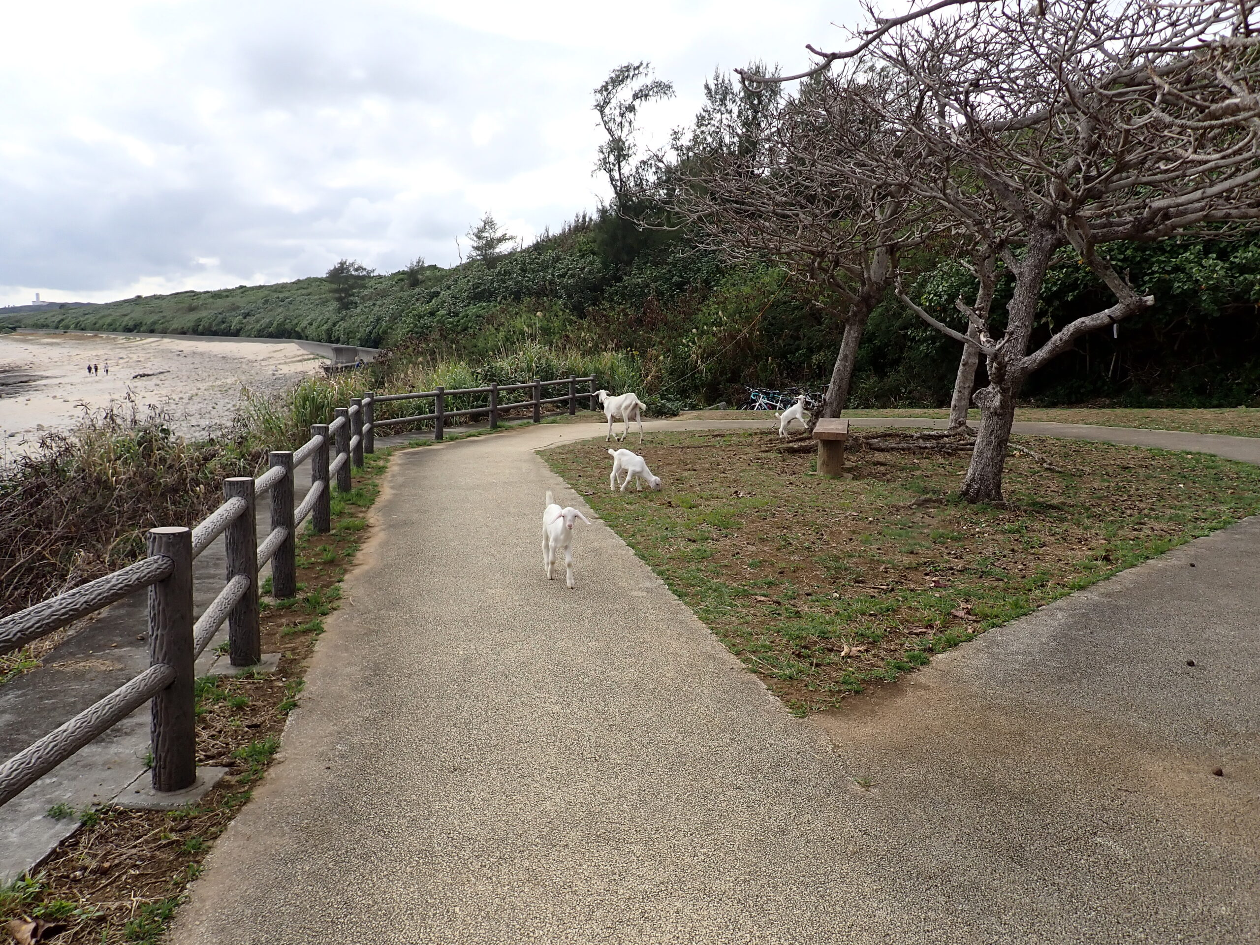 【海のテーマパーク 天然水族感】2026年3月25日（水）