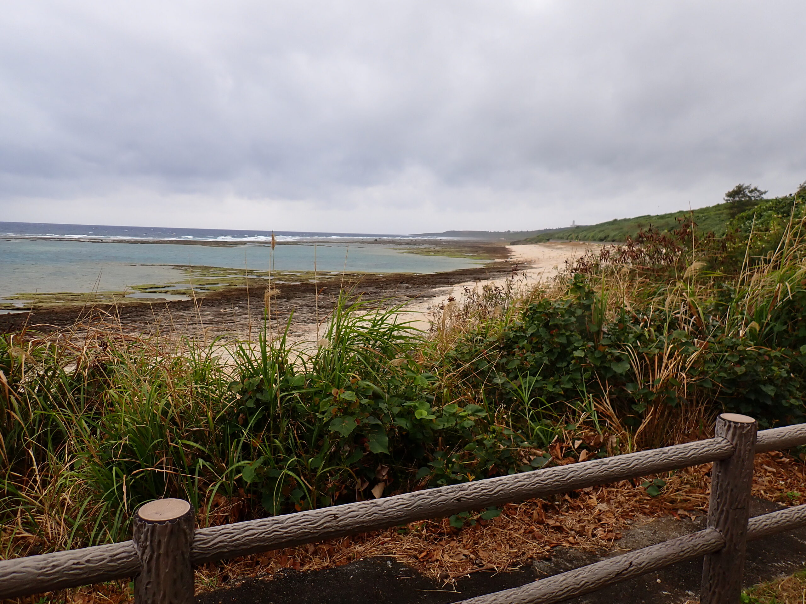 【海のテーマパーク 天然水族感】2026年3月31日(火)