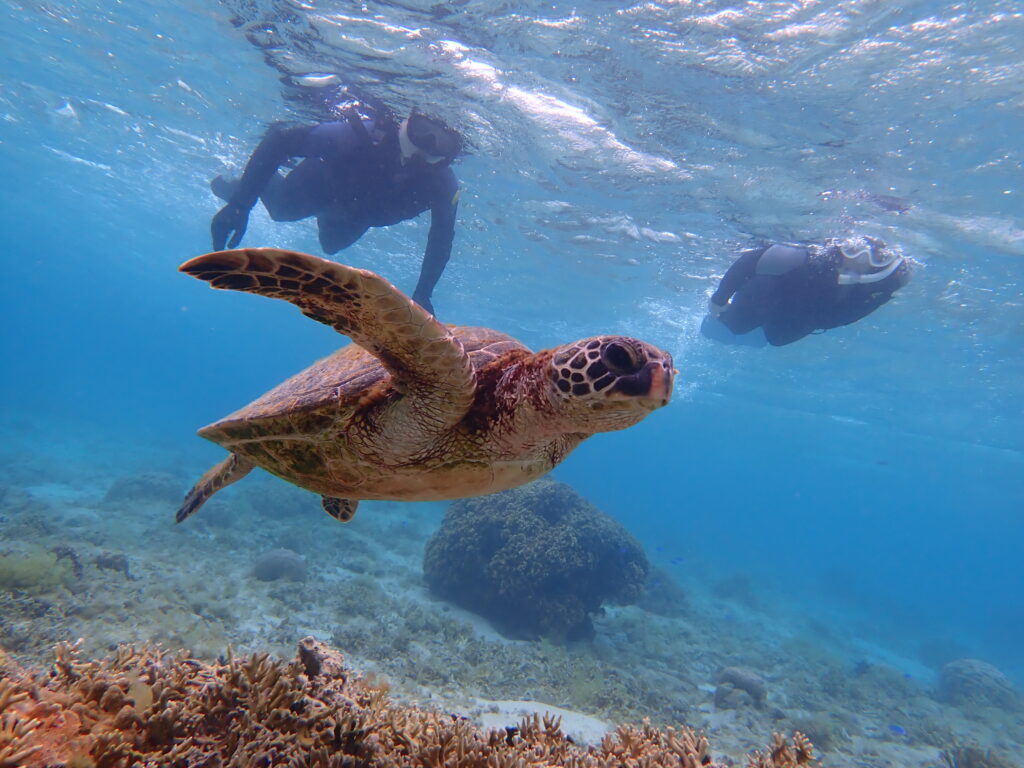 自然体験ジョン万パーク 天然水族感 海のテーマパーク シュノーケリング ゴールデンウィーク
