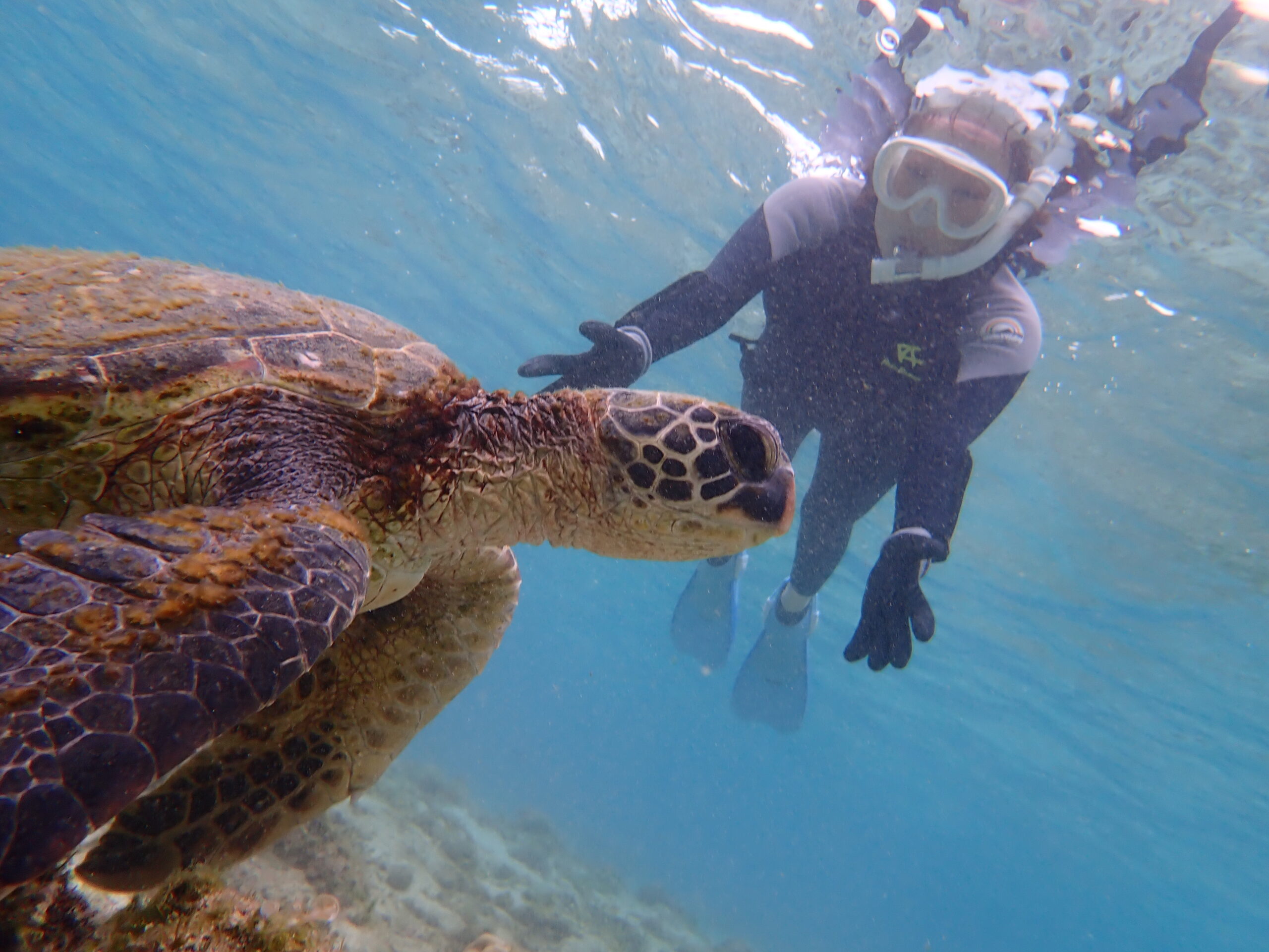 自然体験ジョン万パーク 天然水族感 海のテーマパーク シュノーケリング ゴールデンウィーク