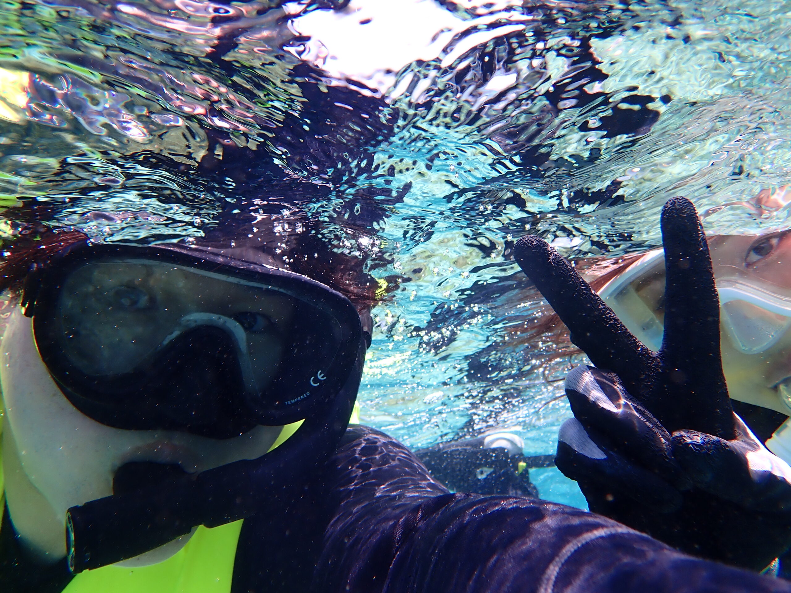 【海のテーマパーク 天然水族感】2026年4月13日(月)