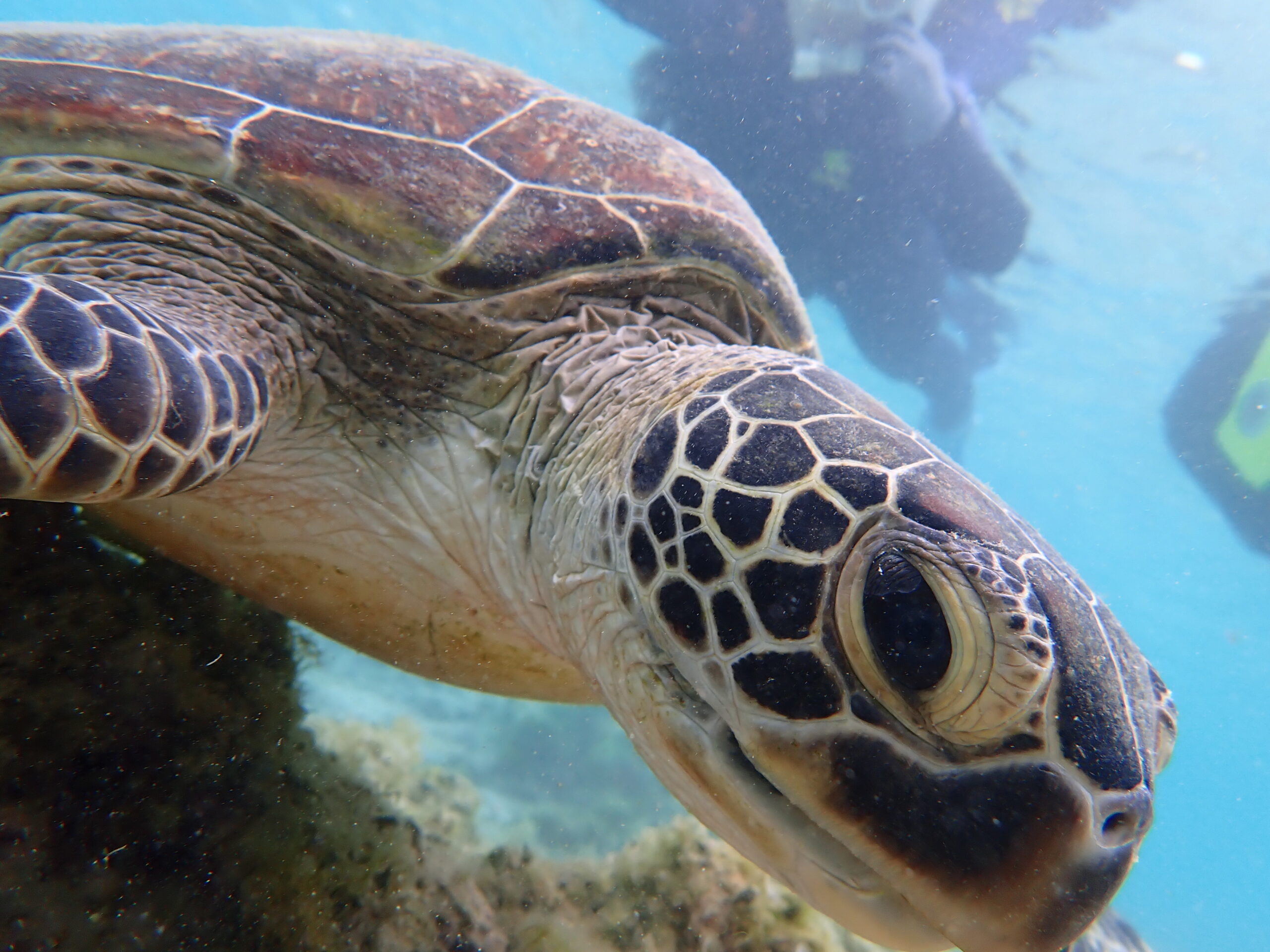 【海のテーマパーク 天然水族感】2026年4月16日（木）
