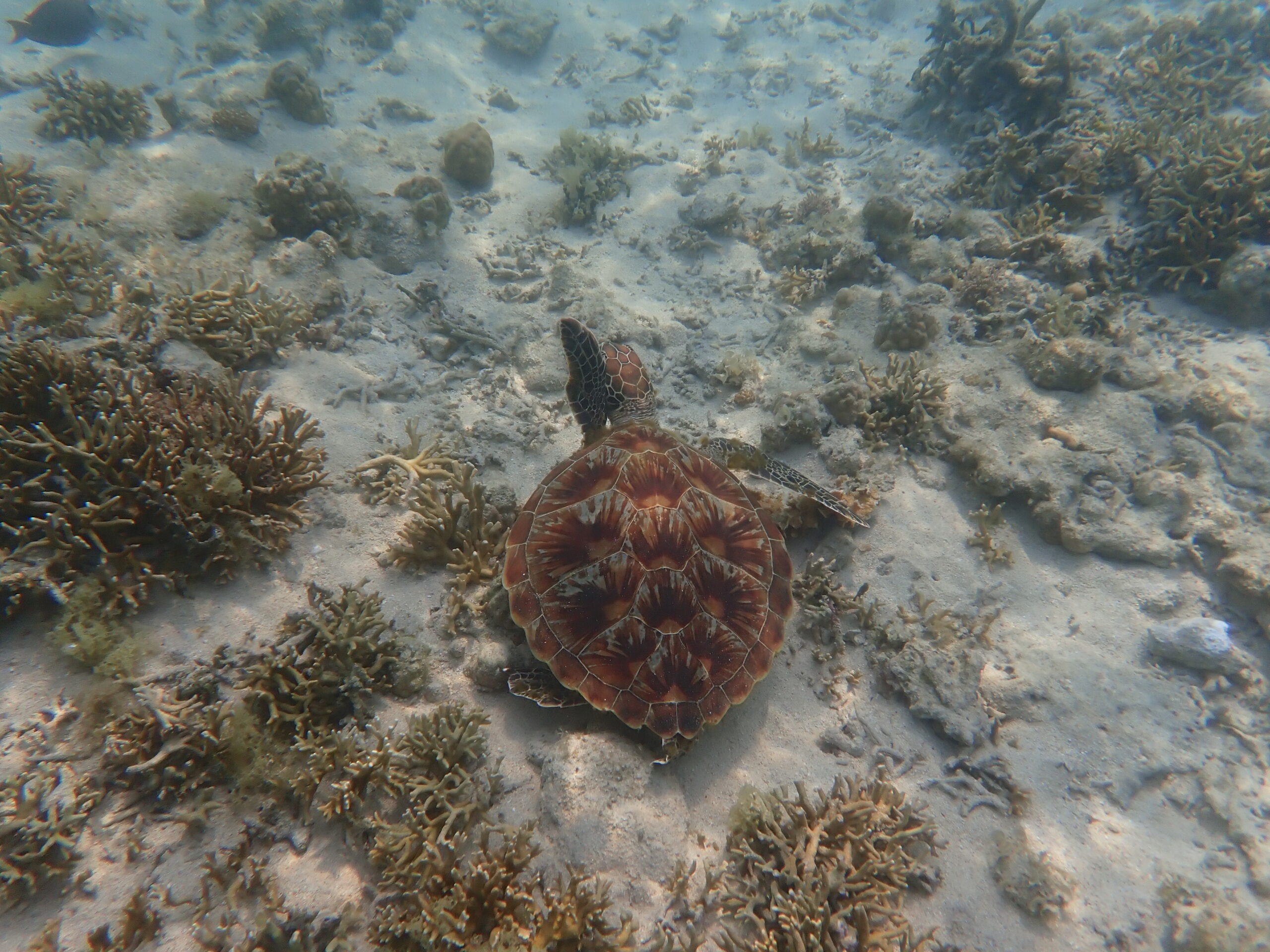 【海のテーマパーク 天然水族感】2026年4月18日（土）