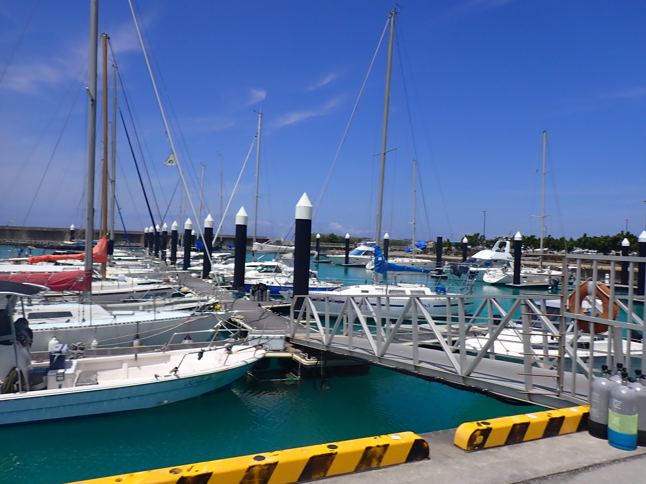 【海のテーマパーク 天然水族感】2026年4月21日（火）