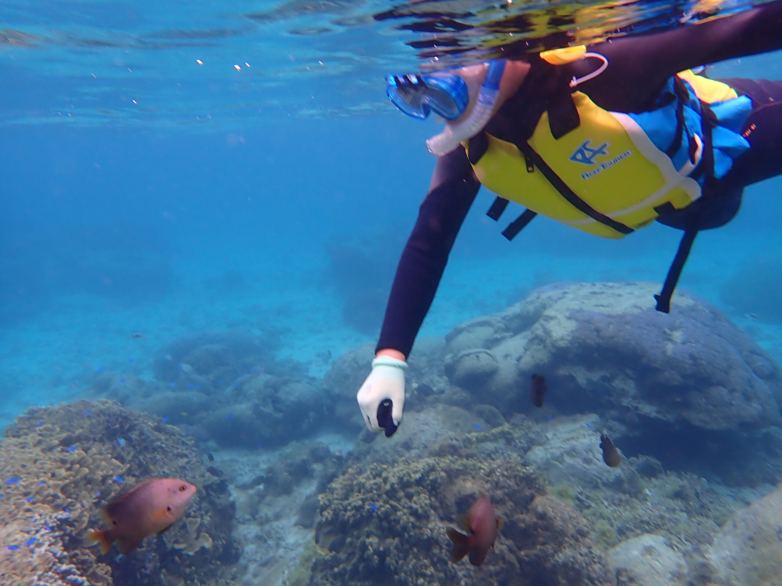 【海のテーマパーク 天然水族感】2026年4月25日（土）