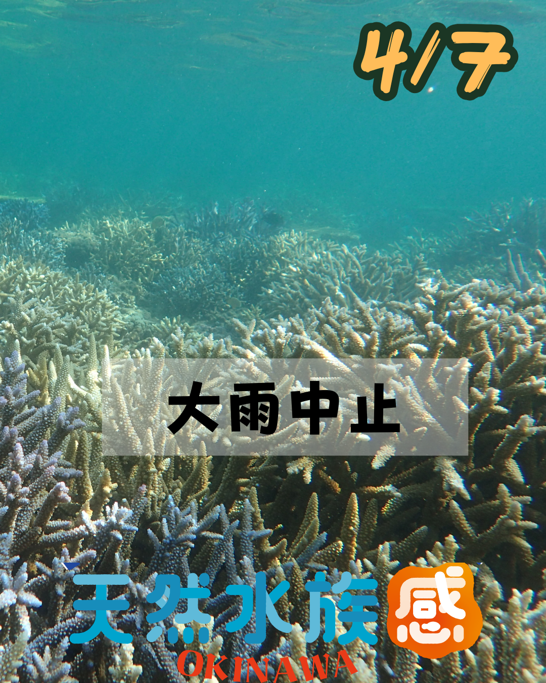 【海のテーマパーク 天然水族感】2026年4月7日(火)