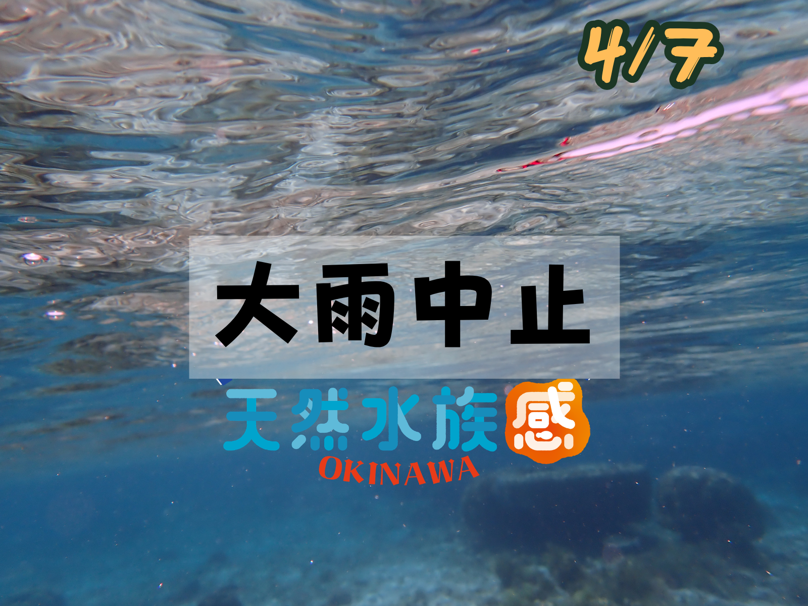 自然体験ジョン万パーク 天然水族感 海のテーマパーク シュノーケリング ゴールデンウィーク