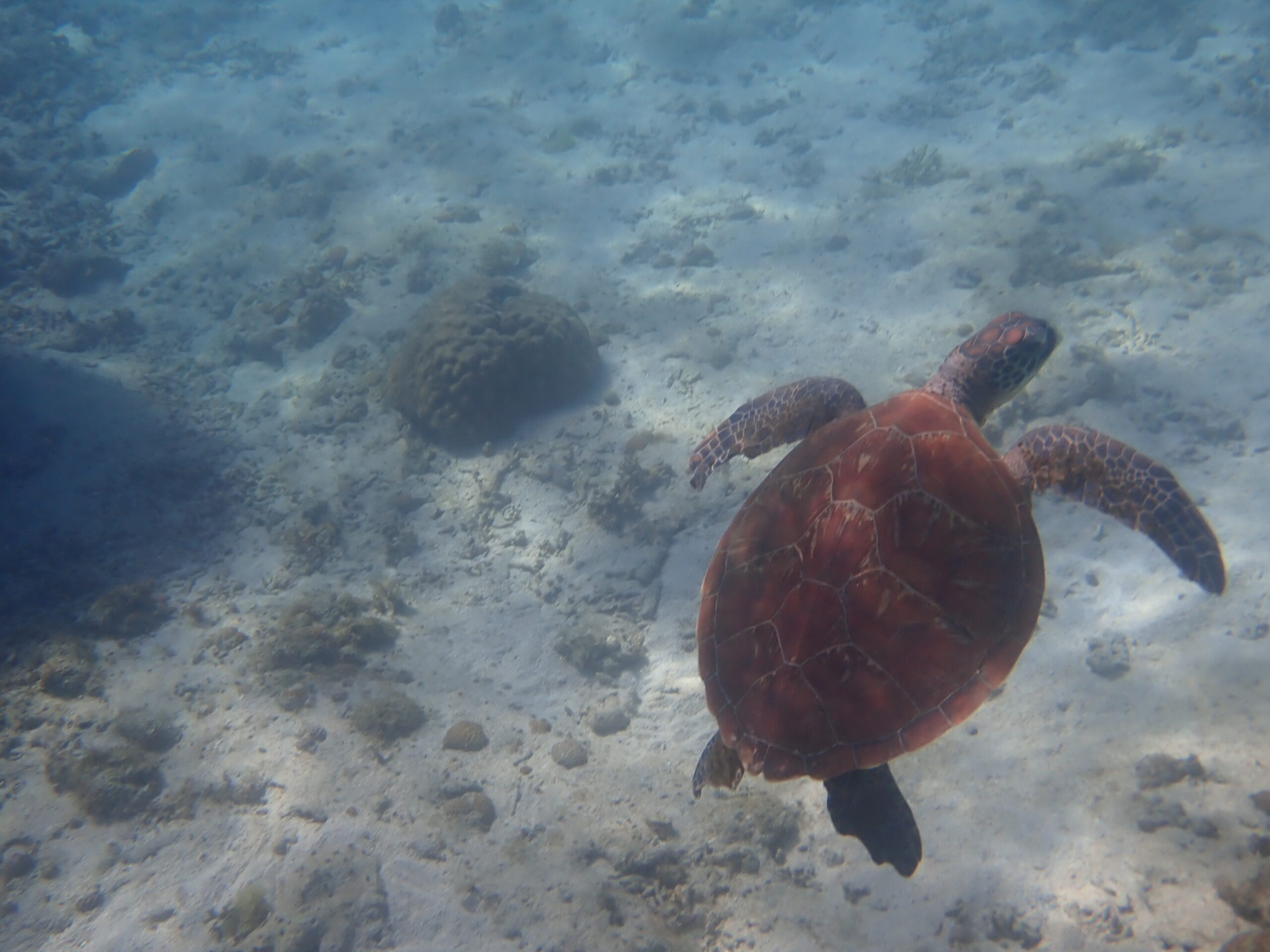 【海のテーマパーク 天然水族感】2026年5月1日（金）