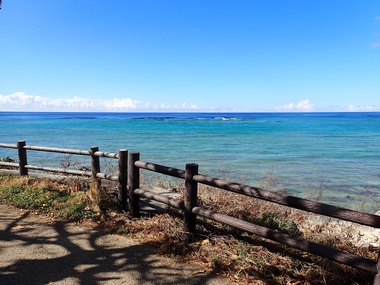 最高の青空!今日の海況がわかる海岸の全景