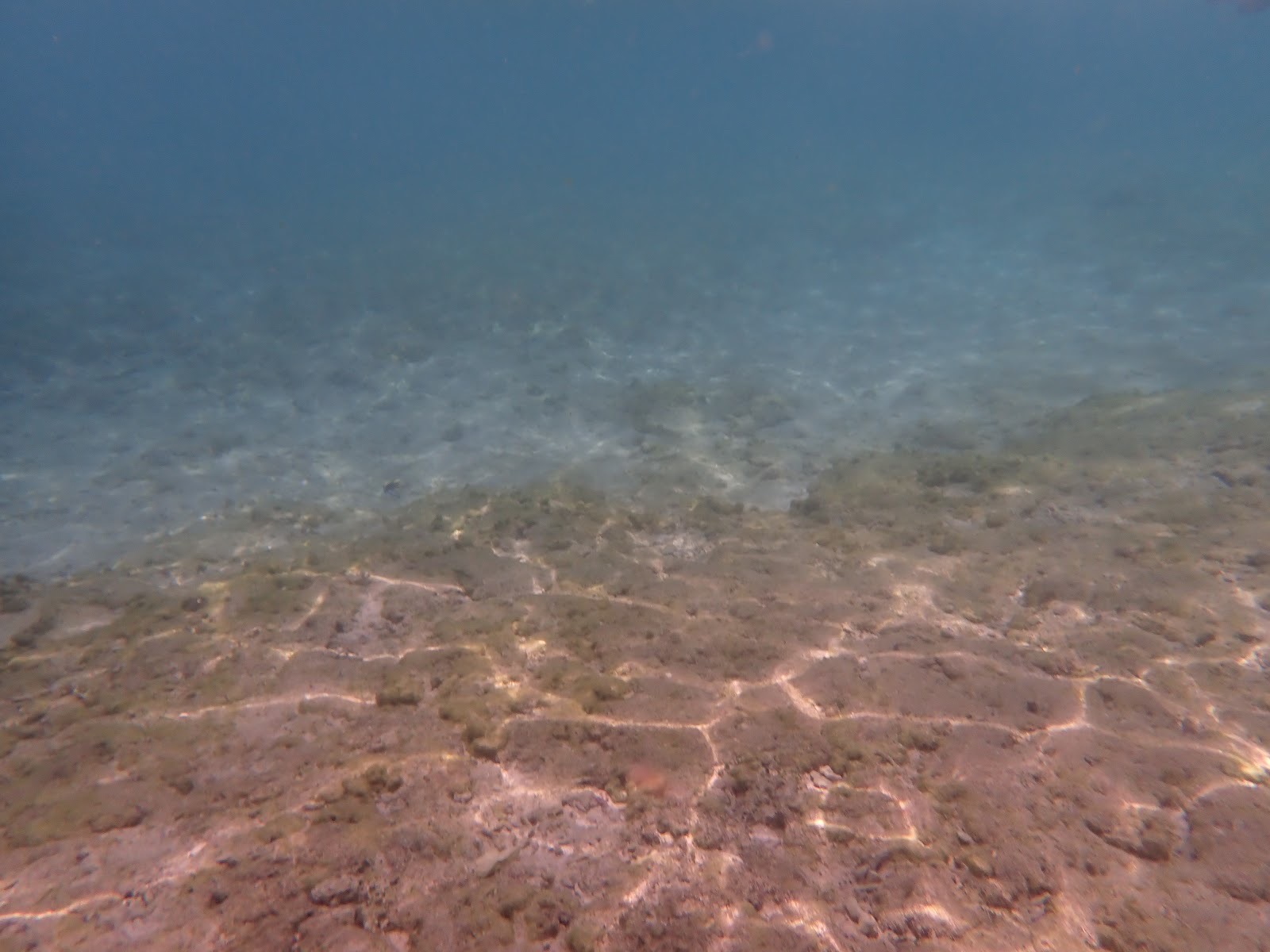 過去のツアーで撮影した水底の砂紋と海面のきらめきが美しい水中風景