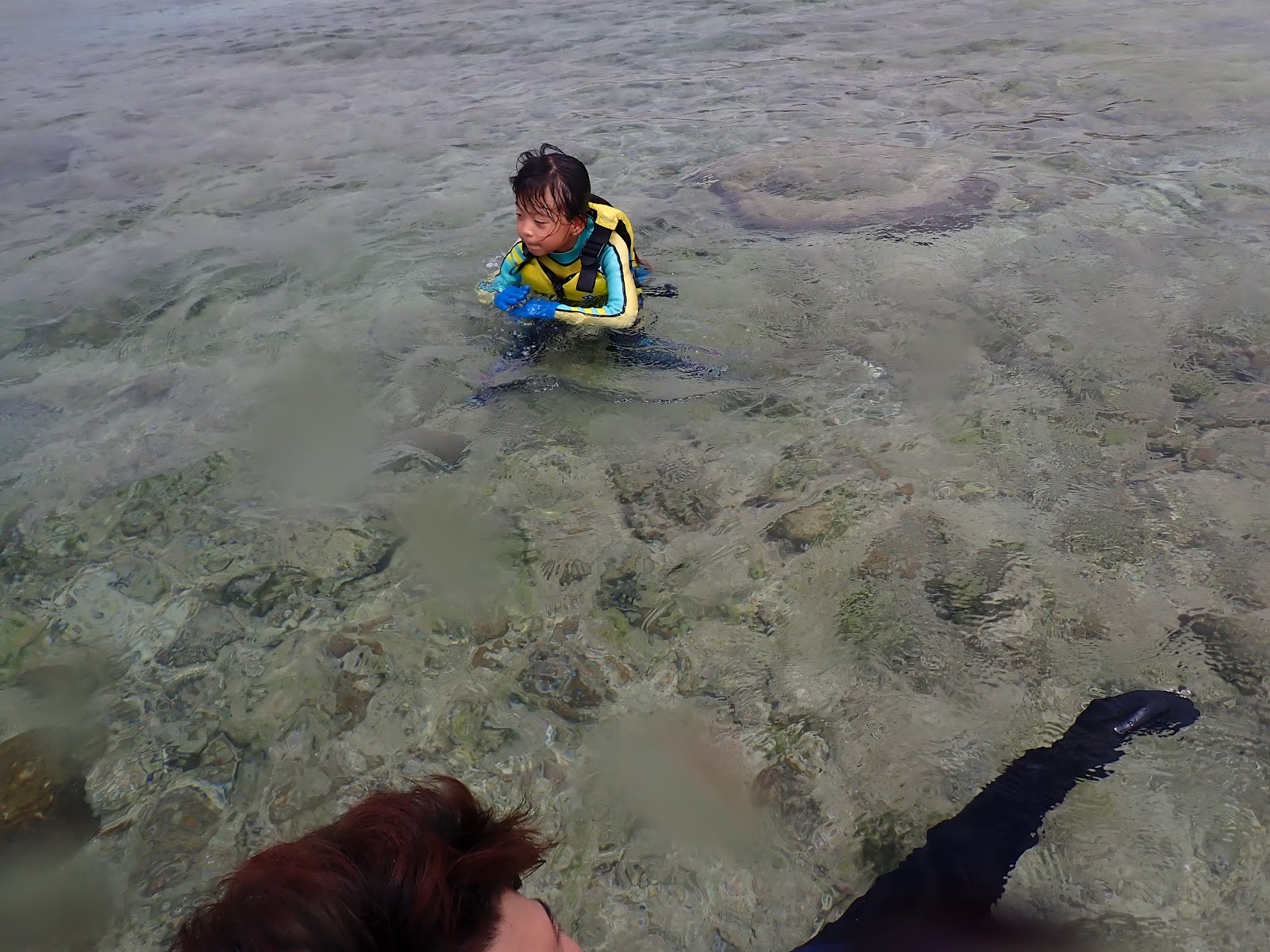 カラフルな魚たちとサンゴ